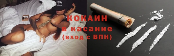 гашик Чекалин