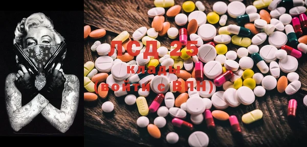 PSILOCYBIN Чегем