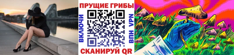Псилоцибиновые грибы ЛСД  Александровск 