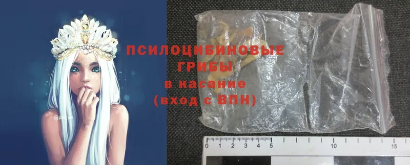 Псилоцибиновые грибы Cubensis  Александровск 