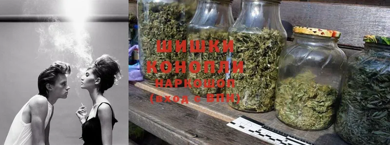хочу   Александровск  Шишки марихуана Amnesia 